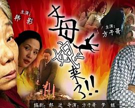 精品人妻无码区二区三区海报