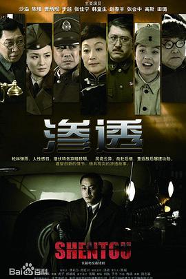 999久久久精品免费毛片日韩综合区海报